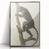 Vintage Realism Monkey Print | Zwarte Brulaap by Pieter Pietersz Barbiers