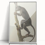Vintage Realism Monkey Print | Zwarte Brulaap by Pieter Pietersz Barbiers