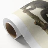 Vintage Realism Monkey Print | Zwarte Brulaap by Pieter Pietersz Barbiers