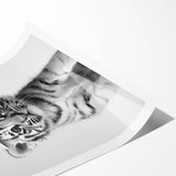 Adorable Tiger Cub Bathroom Wall Art - Fun Black and White Decor