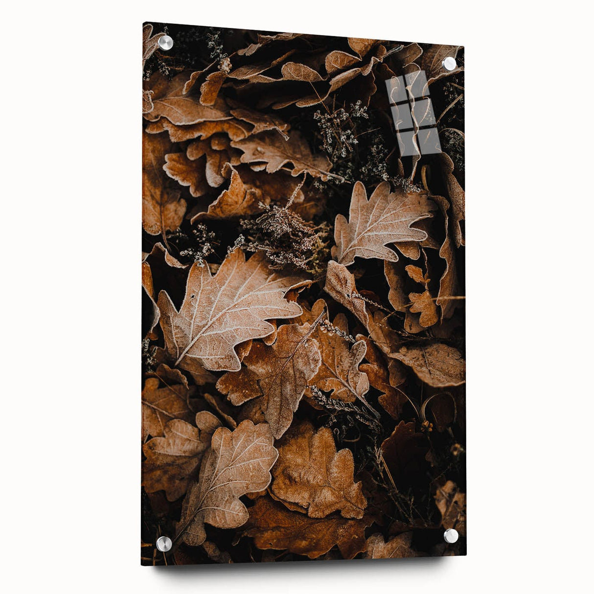 Large abstract wall art depicting a fall scene in warm orange and brown tones, printed on acrylic glass.