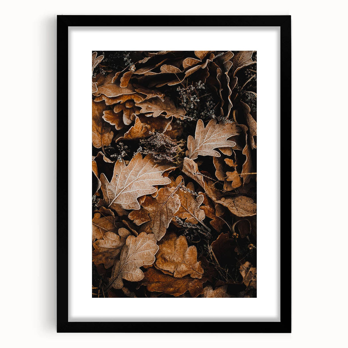 Extra large abstract art print featuring textured, colorful autumn leaves, in a black frame with mat.