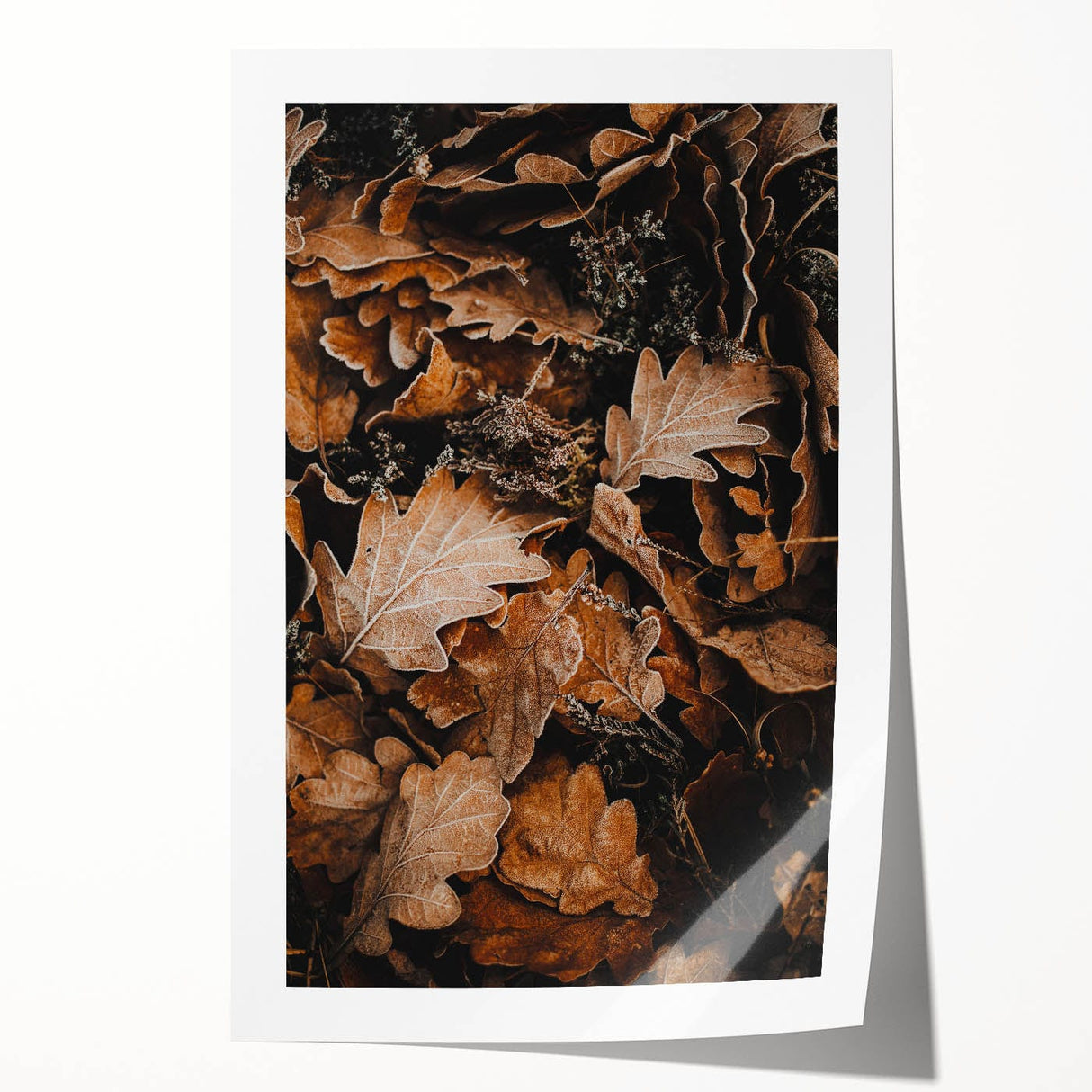 Extra large rolled print of a fall-themed floral art in muted orange and brown tones, suitable for dining room walls.