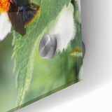 Large abstract wall art on acrylic glass featuring mid-century modernist style in spring-themed colors.