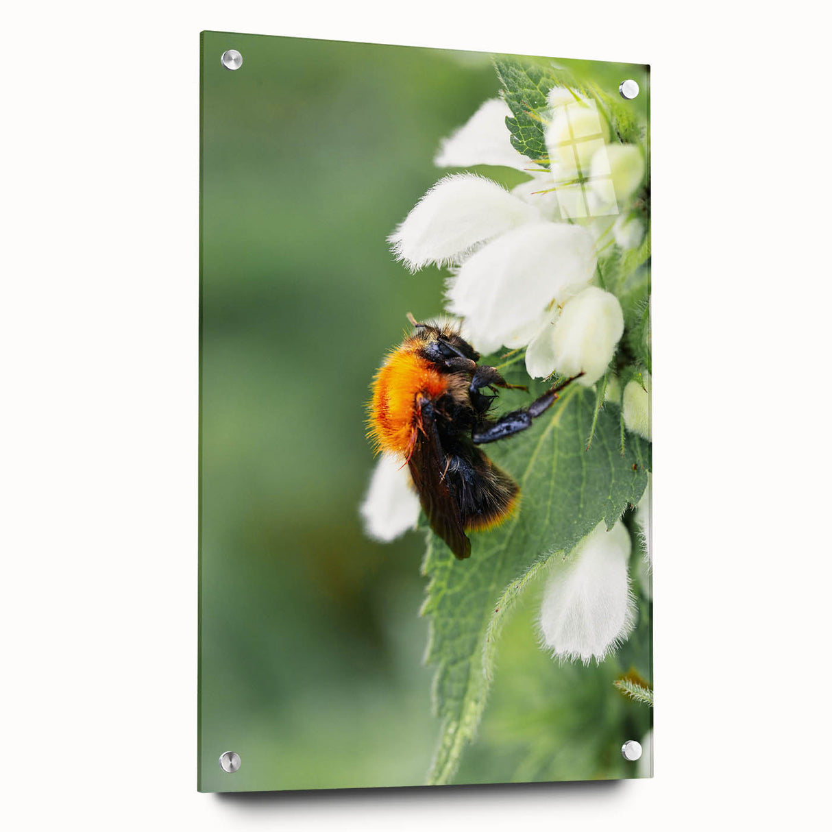 Large abstract wall art on acrylic glass depicting spring with vibrant green and pink tones.