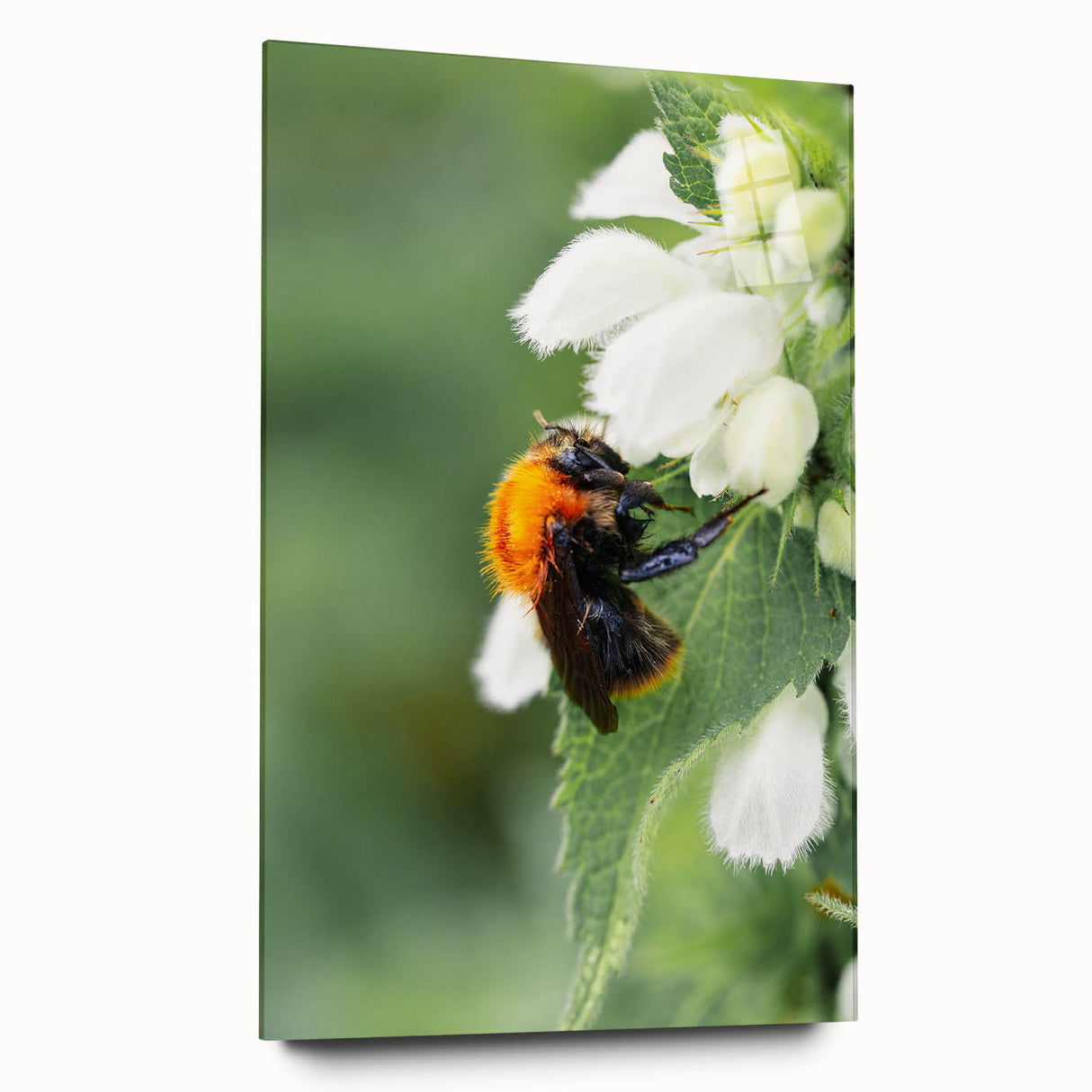 Large abstract wall art on acrylic glass depicting vibrant spring themes in pastel shades.