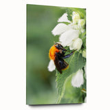 Large abstract wall art on acrylic glass depicting vibrant spring themes in pastel shades.