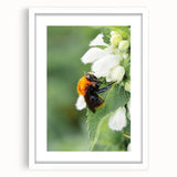 Abstract art print depicting spring, in soft green and white tones, framed with a white mat, ideal for dining room decor.