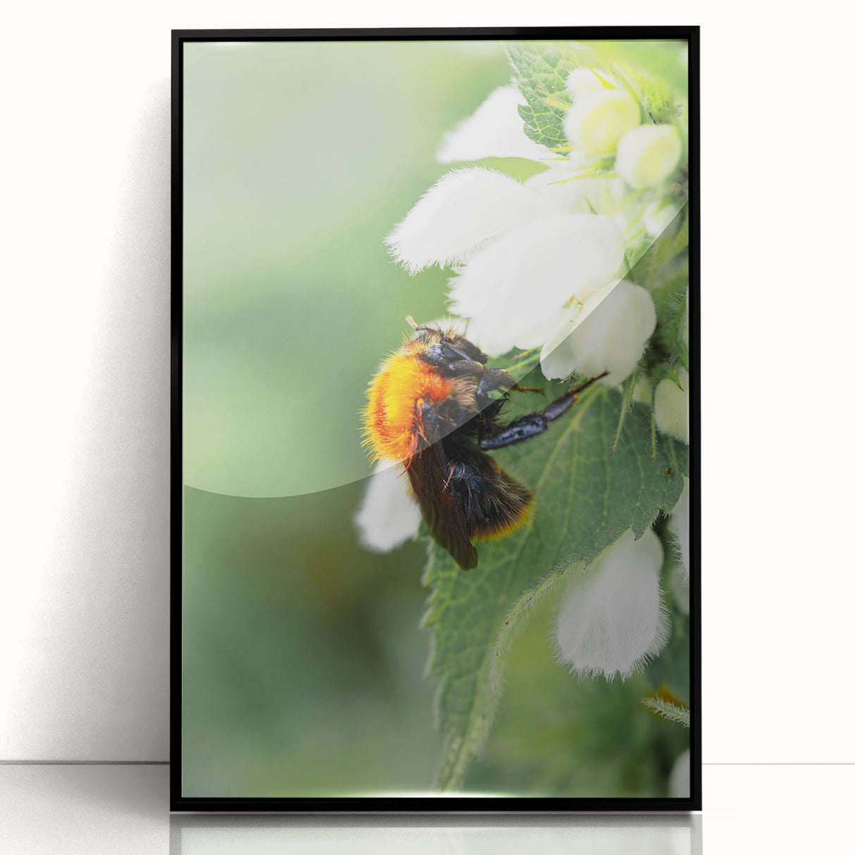Large abstract wall art featuring dynamic swirls in spring tones on a black framed acrylic, suited for modern decor.