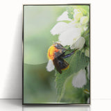 Mid-century modernist art featuring a spring theme in pastel shades on a framed acrylic print, suitable for nursery wall art.