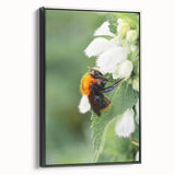 Black and white vintage poster art on framed canvas depicting a spring landscape, ideal for bedroom decor.