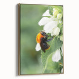 Framed canvas featuring a vintage-style landscape painting with lush green trees and a golden frame.