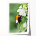 Spring floral art on rolled canvas print, featuring soft pastel colors, ideal for dining room or bathroom wall decor.
