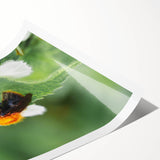 Extra large wall art featuring line art flowers in spring, rendered in black on white rolled canvas.