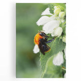 Black and white abstract depiction of spring on a large stretched canvas, suited for kitchen wall art.