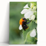 Black and white large canvas print depicting a spring scene, ideal for kitchen wall art or bedroom ambiance.