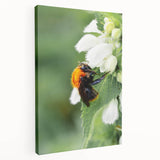 Spring-themed stretched canvas featuring blossoming trees in pastel pink and green tones, suitable for kitchen wall art.