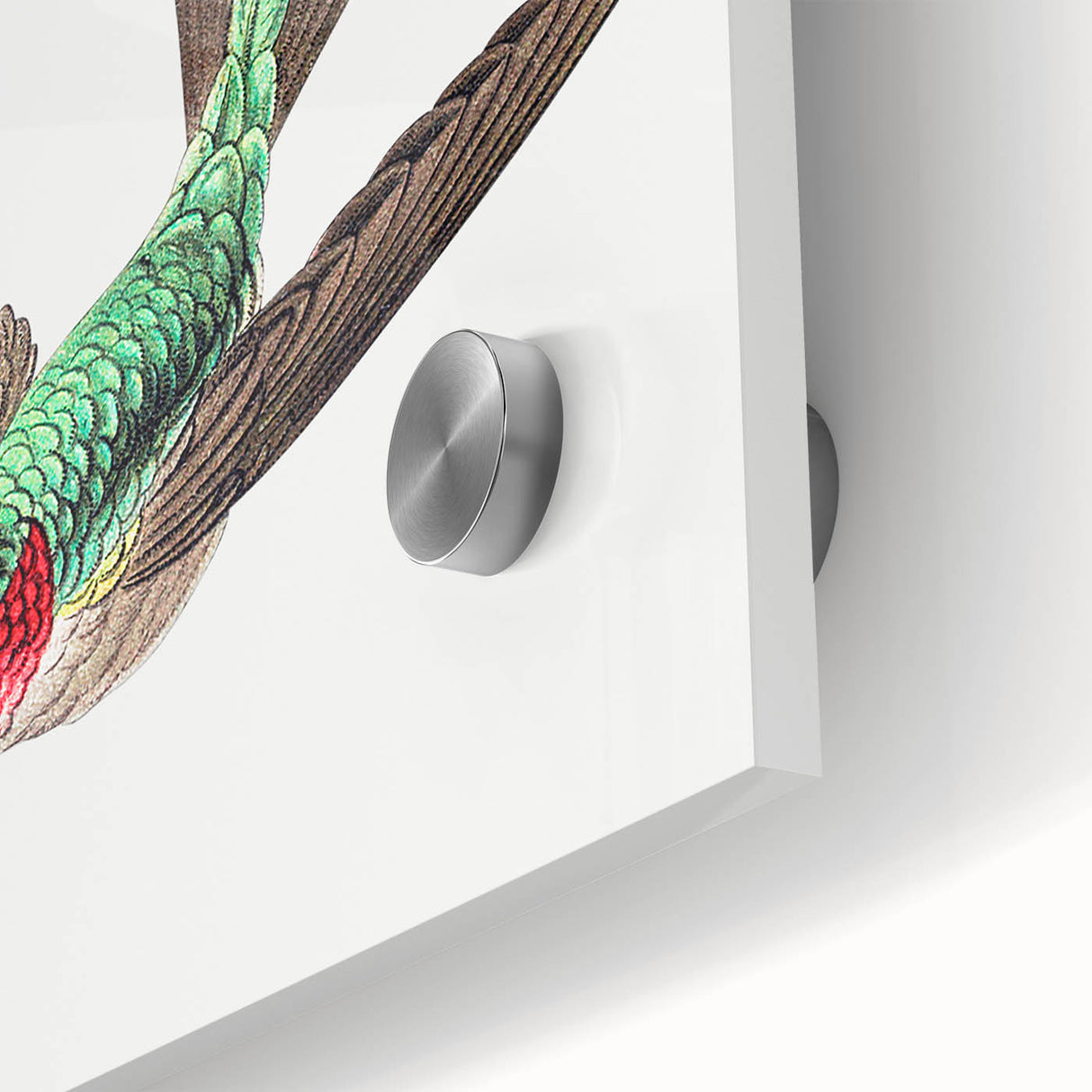 Modern Wall Art - Graceful Hummingbird Illustration with Vibrant Detail
