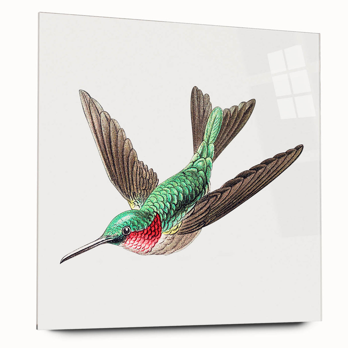 Modern Wall Art - Graceful Hummingbird Illustration with Vibrant Detail