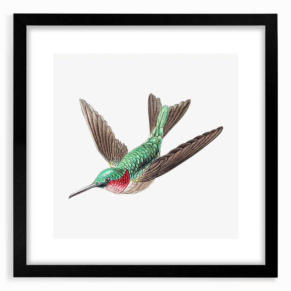 Modern Wall Art - Graceful Hummingbird Illustration with Vibrant Detail