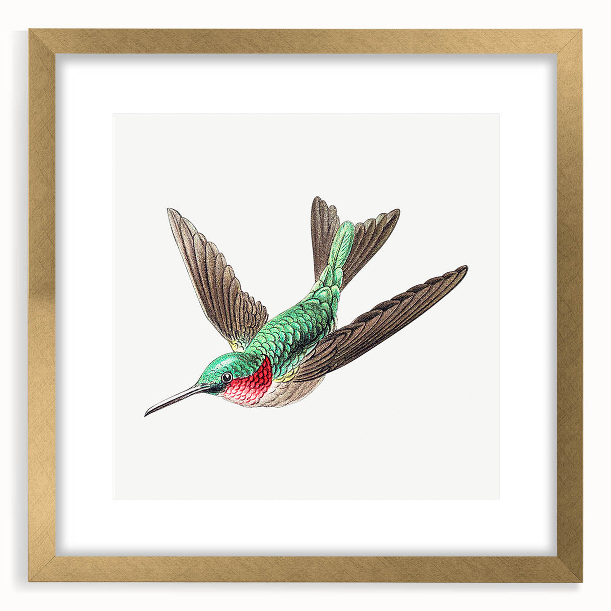 Modern Wall Art - Graceful Hummingbird Illustration with Vibrant Detail