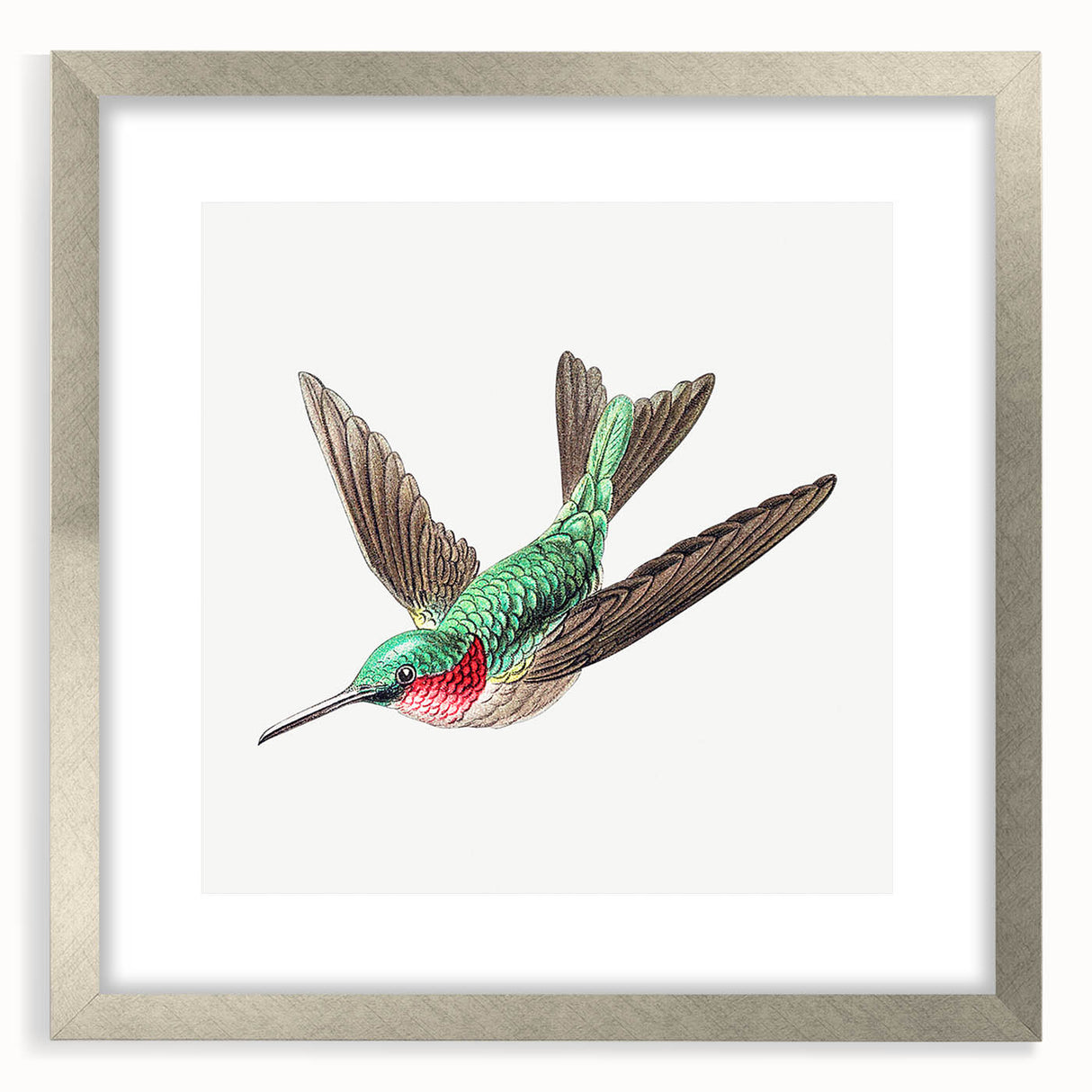 Modern Wall Art - Graceful Hummingbird Illustration with Vibrant Detail