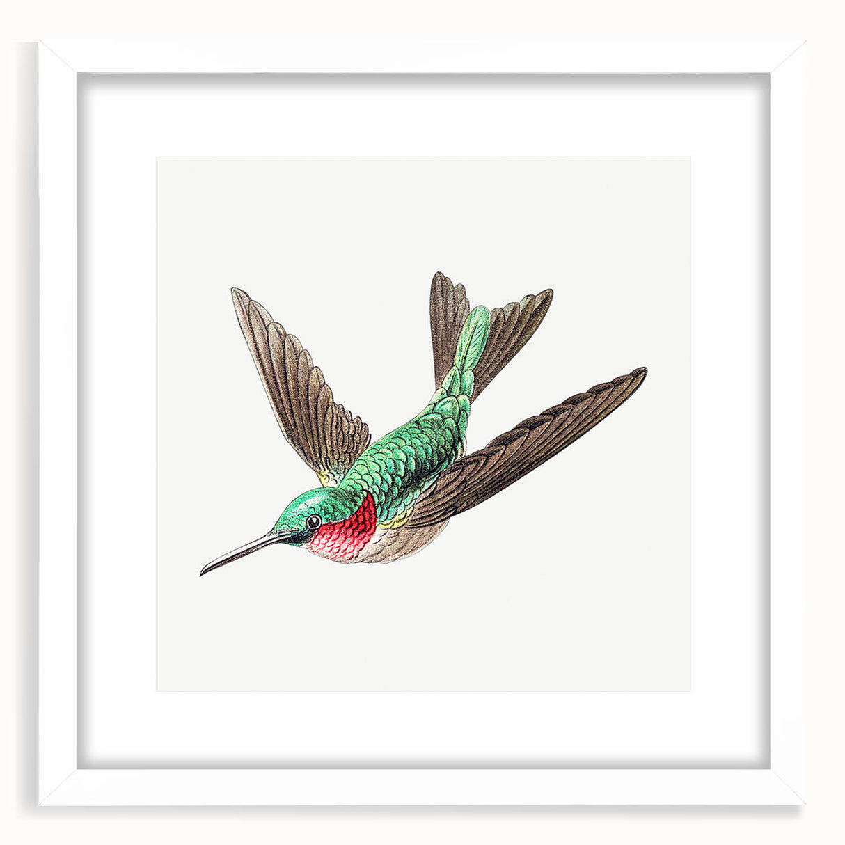 Modern Wall Art - Graceful Hummingbird Illustration with Vibrant Detail