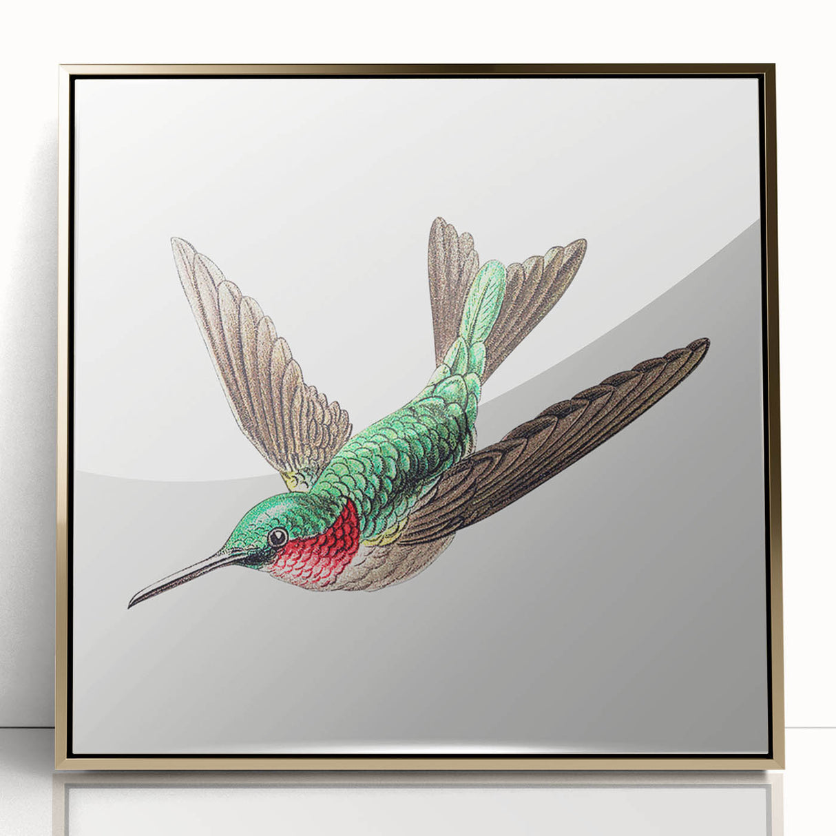 Modern Wall Art - Graceful Hummingbird Illustration with Vibrant Detail