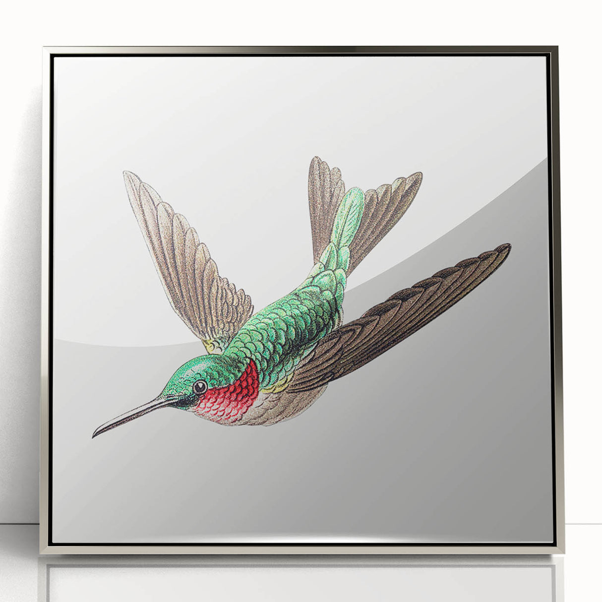Modern Wall Art - Graceful Hummingbird Illustration with Vibrant Detail