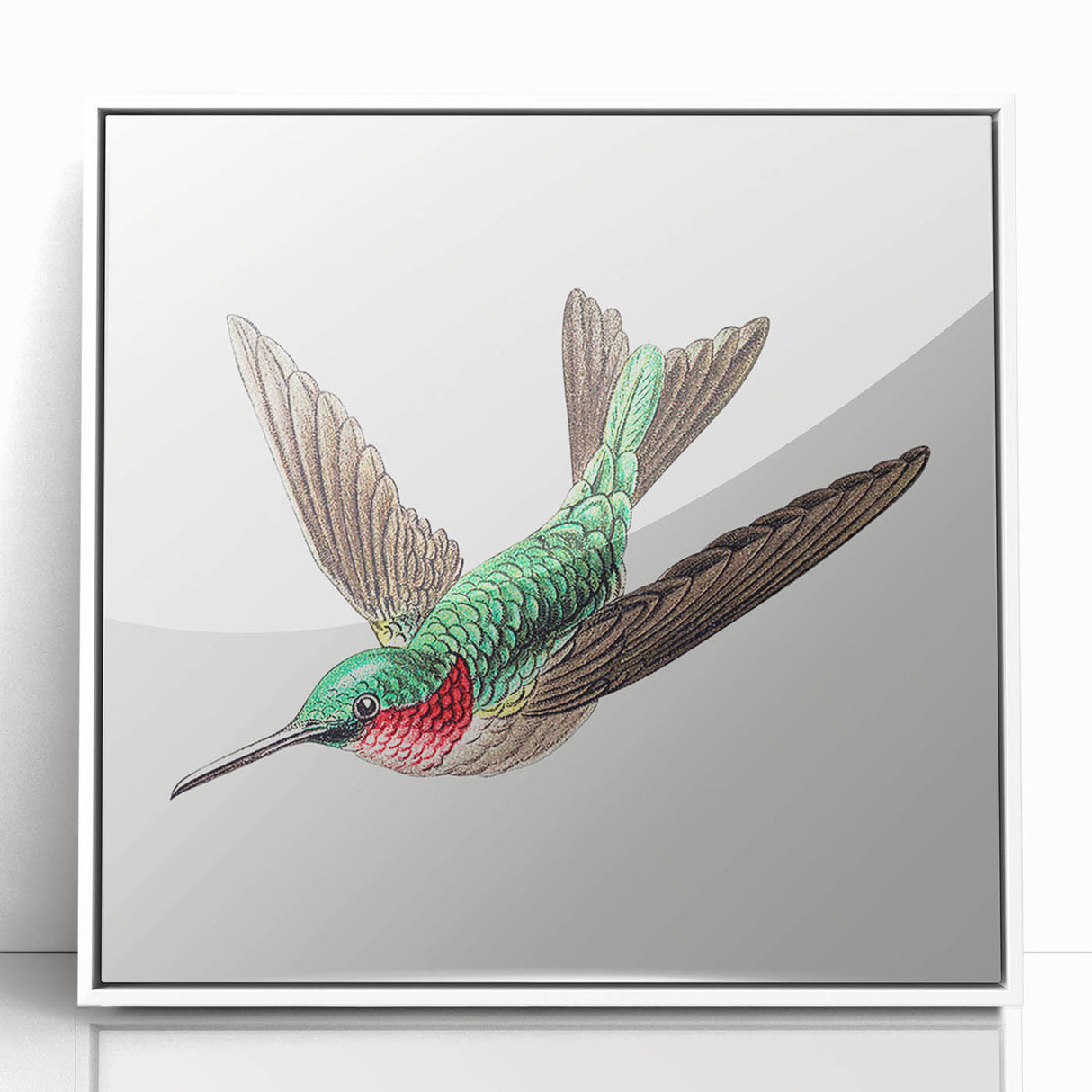 Modern Wall Art - Graceful Hummingbird Illustration with Vibrant Detail