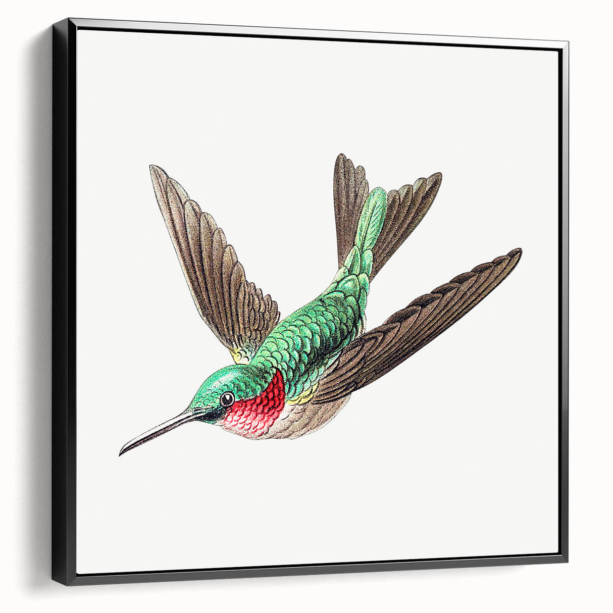 Modern Wall Art - Graceful Hummingbird Illustration with Vibrant Detail