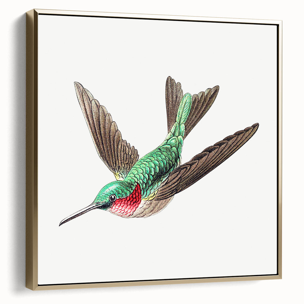 Modern Wall Art - Graceful Hummingbird Illustration with Vibrant Detail
