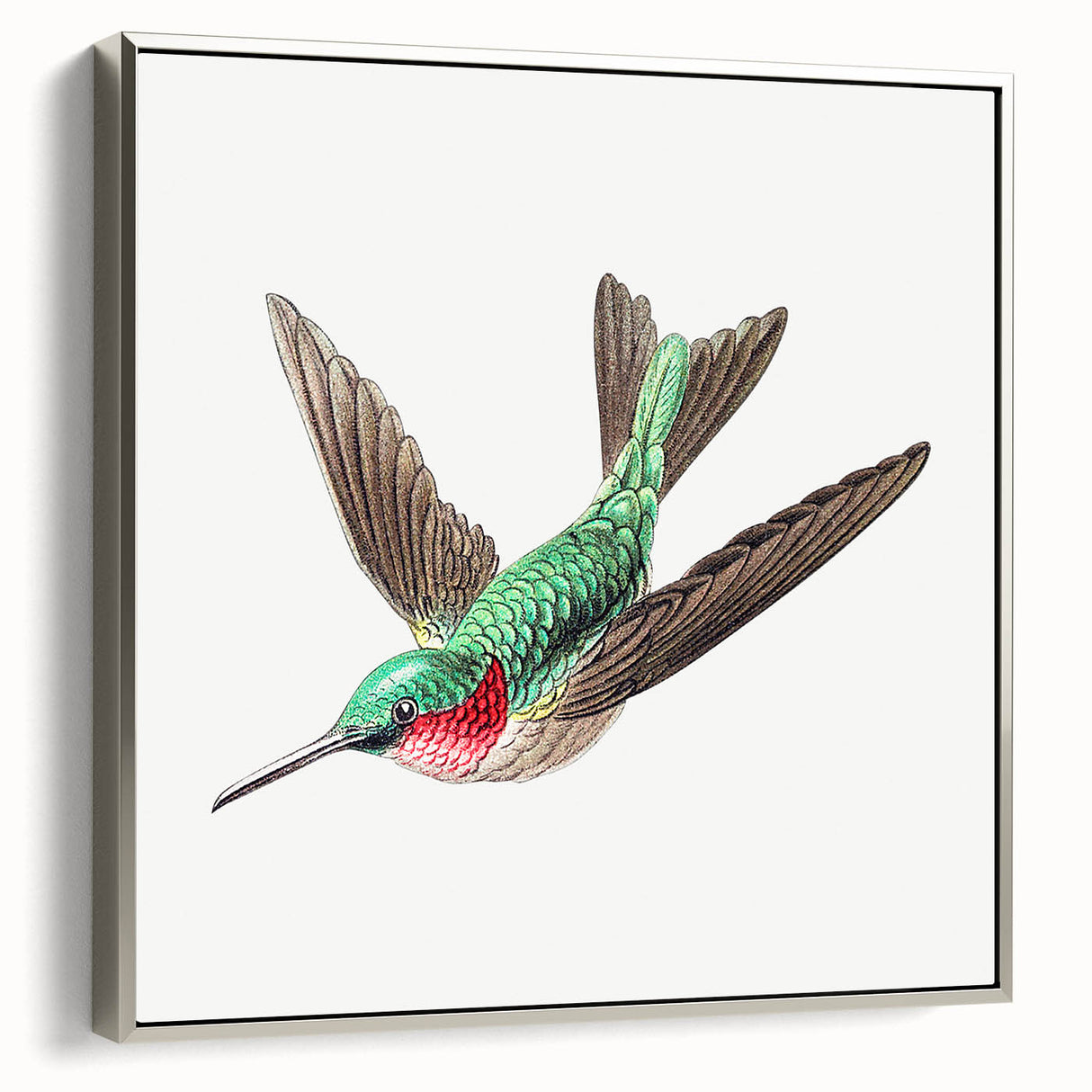 Modern Wall Art - Graceful Hummingbird Illustration with Vibrant Detail