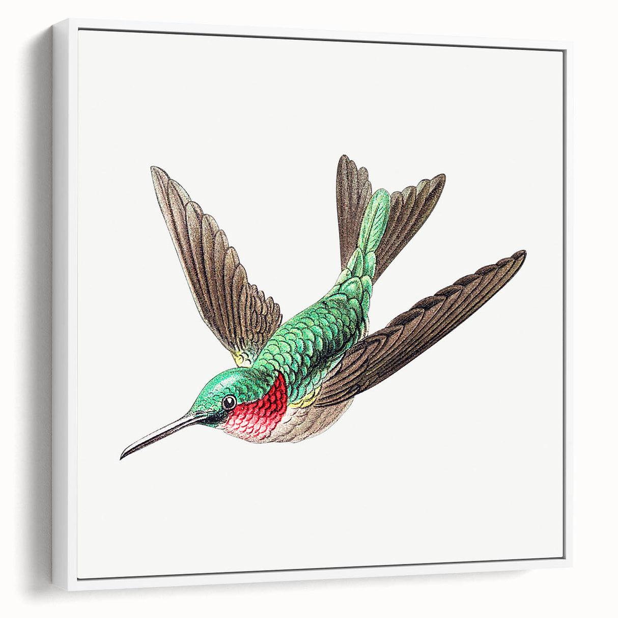 Modern Wall Art - Graceful Hummingbird Illustration with Vibrant Detail