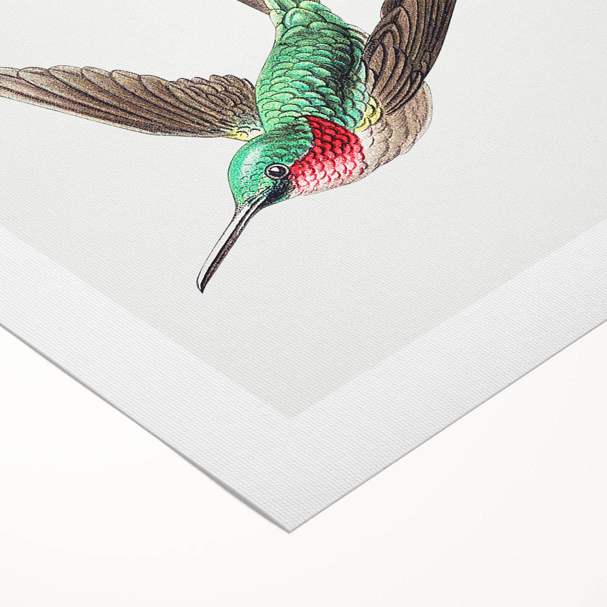 Modern Wall Art - Graceful Hummingbird Illustration with Vibrant Detail