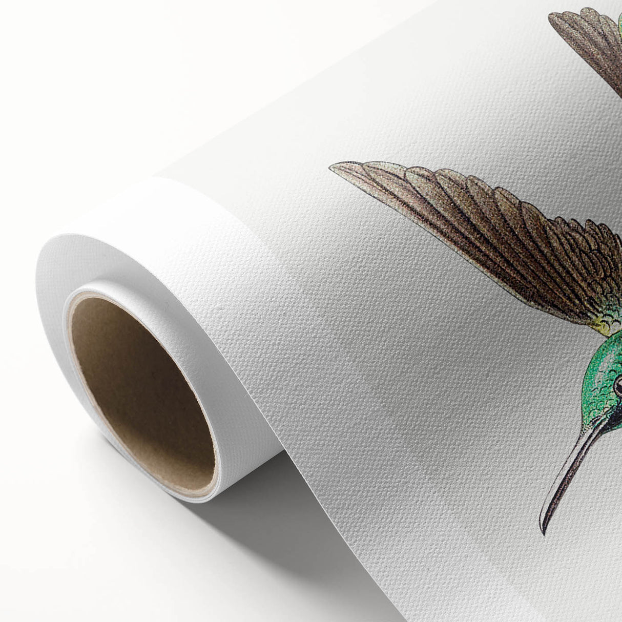 Modern Wall Art - Graceful Hummingbird Illustration with Vibrant Detail