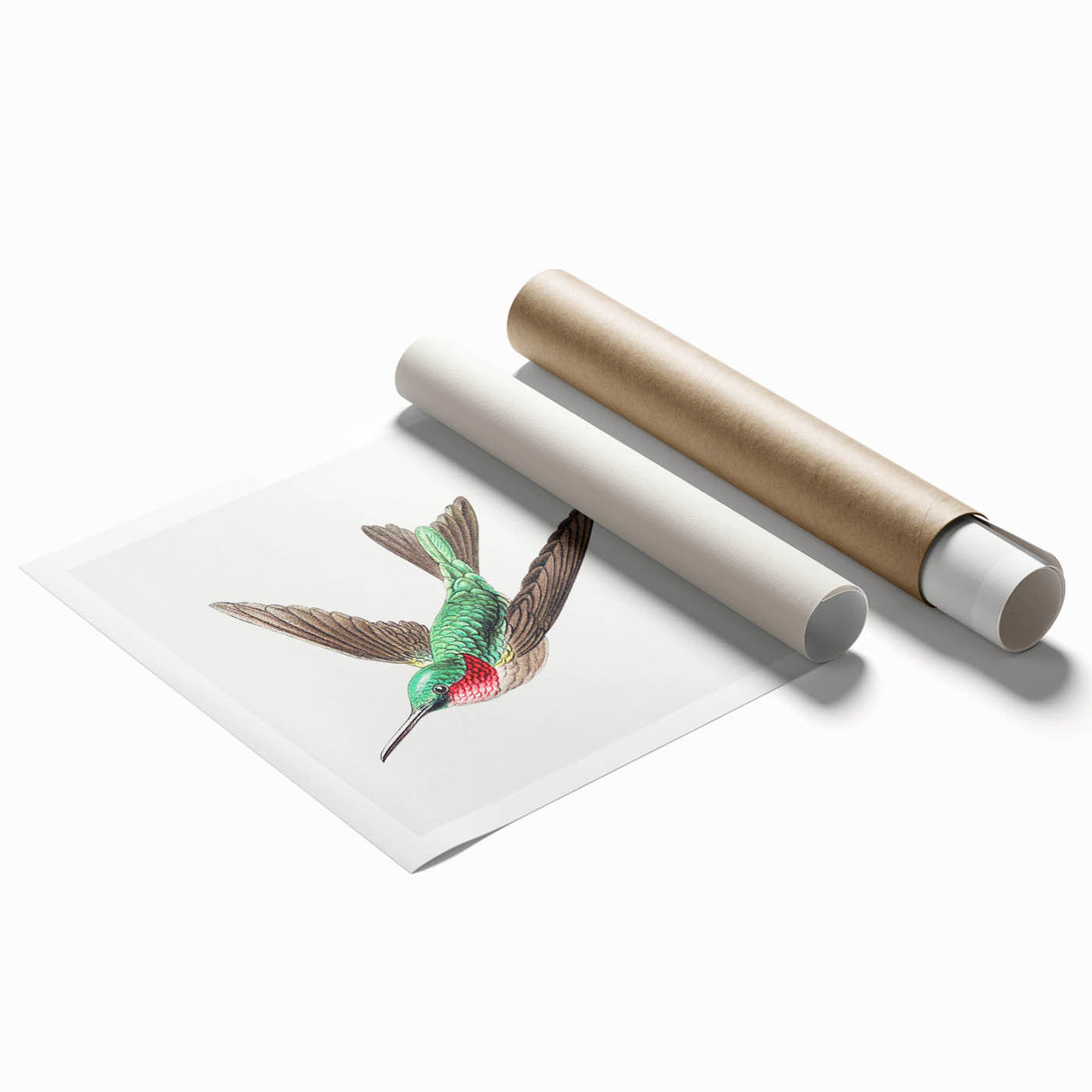 Modern Wall Art - Graceful Hummingbird Illustration with Vibrant Detail