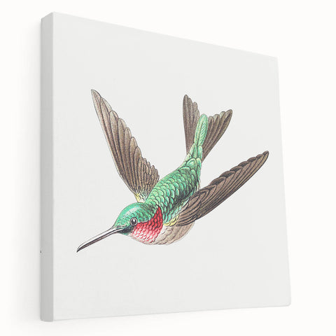 Modern Wall Art - Graceful Hummingbird Illustration with Vibrant Detail