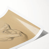 Romanticism Art: Alexander Hamilton Hand Study Canvas Print