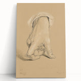 Romanticism Art: Alexander Hamilton Hand Study Canvas Print