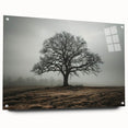 Solitary Tree in Fog Office Wall Art – Modern Corporate Decor