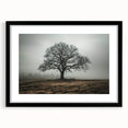 Solitary Tree in Fog Office Wall Art – Modern Corporate Decor
