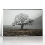 Solitary Tree in Fog Office Wall Art – Modern Corporate Decor