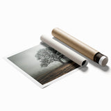 Solitary Tree in Fog Office Wall Art – Modern Corporate Decor