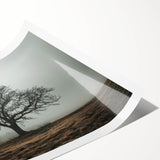 Solitary Tree in Fog Office Wall Art – Modern Corporate Decor