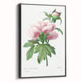 Neoclassical Art Print: Peony Flower - Elegant Botanical Wall Art