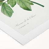 Neoclassical Art Print: Peony Flower - Elegant Botanical Wall Art