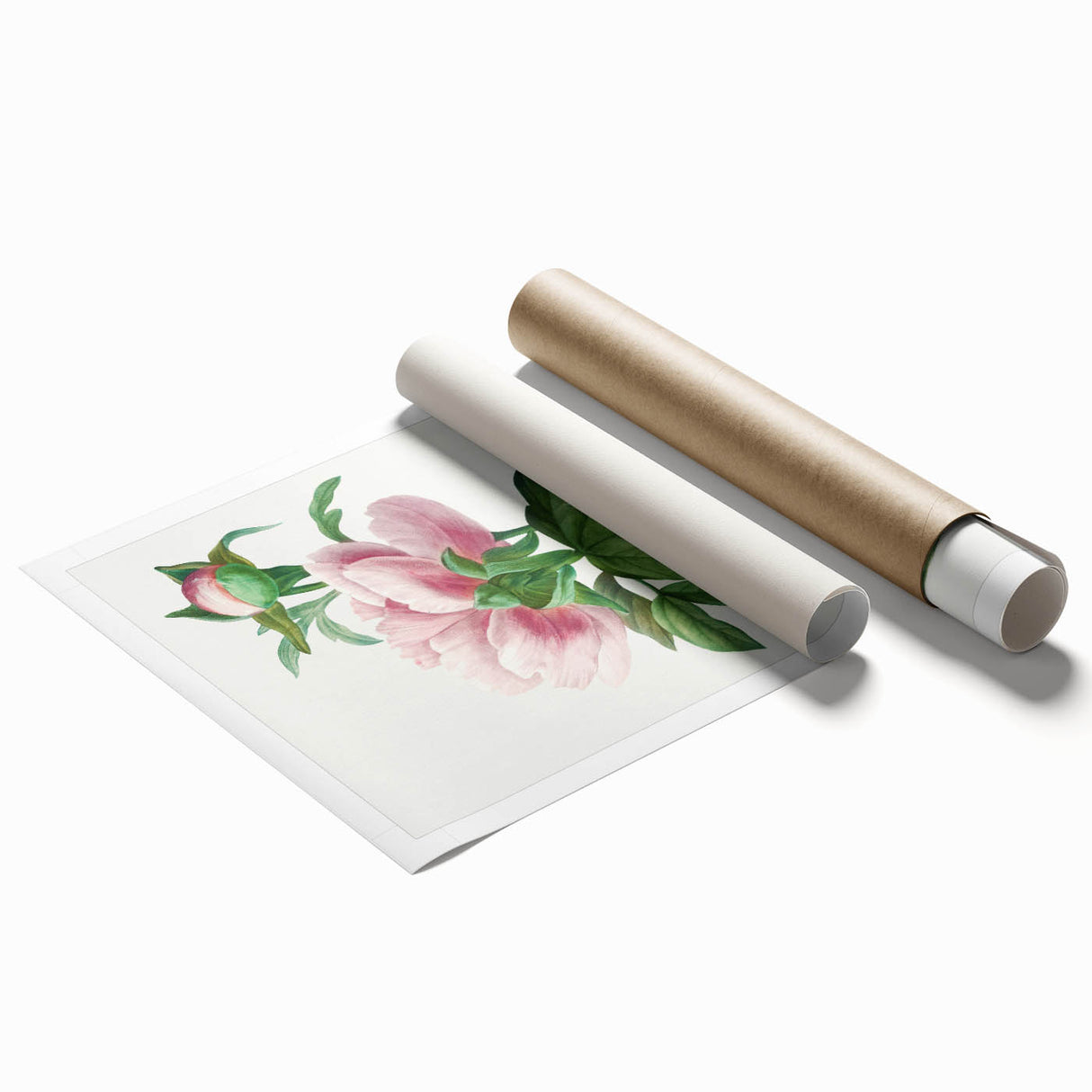 Neoclassical Art Print: Peony Flower - Elegant Botanical Wall Art