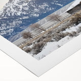 Rolled canvas showcasing a vibrant landscape barn design, featuring rich colors and intricate details, securely packaged in a protective cardboard tube for shipping.