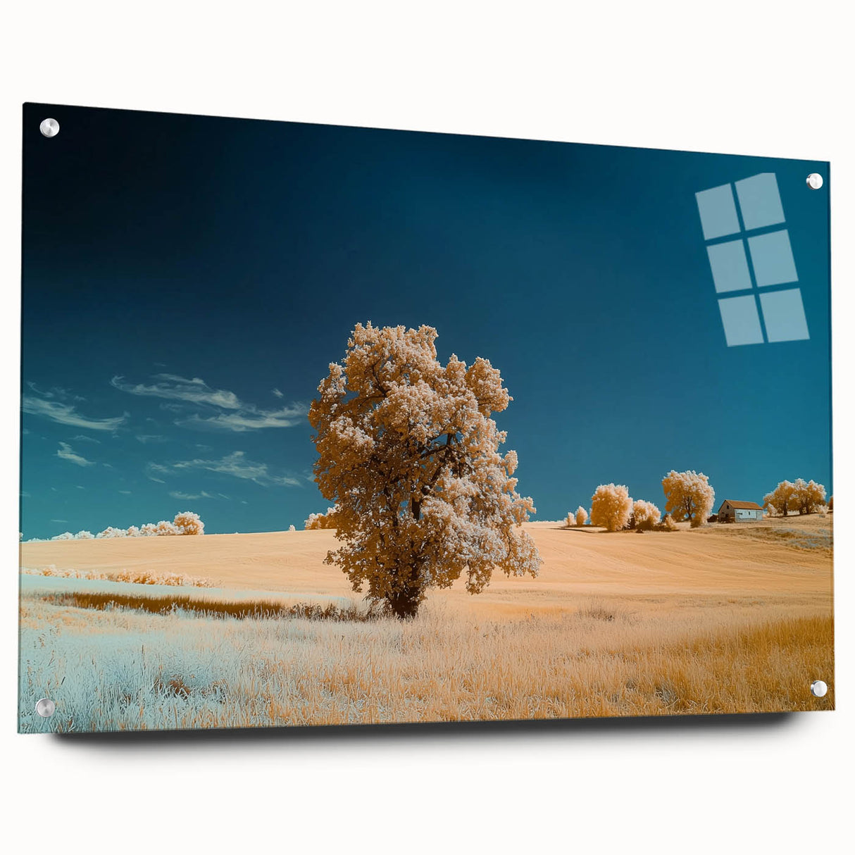 Acrylic glass print showcasing a vibrant landscape design, featuring lush green fields and a clear blue sky, elegantly displayed with decorative pins for a modern touch. Perfect for adding a serene and artistic element to home decor.